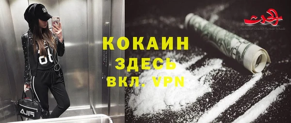 тгк Алзамай